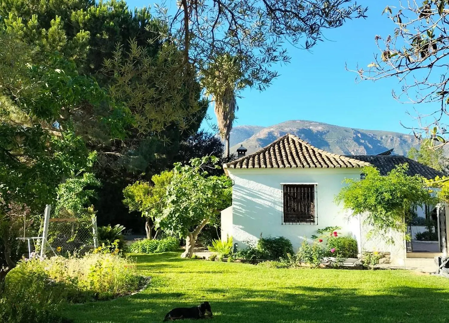 Oasis De Frescura En Verano Villa Granada