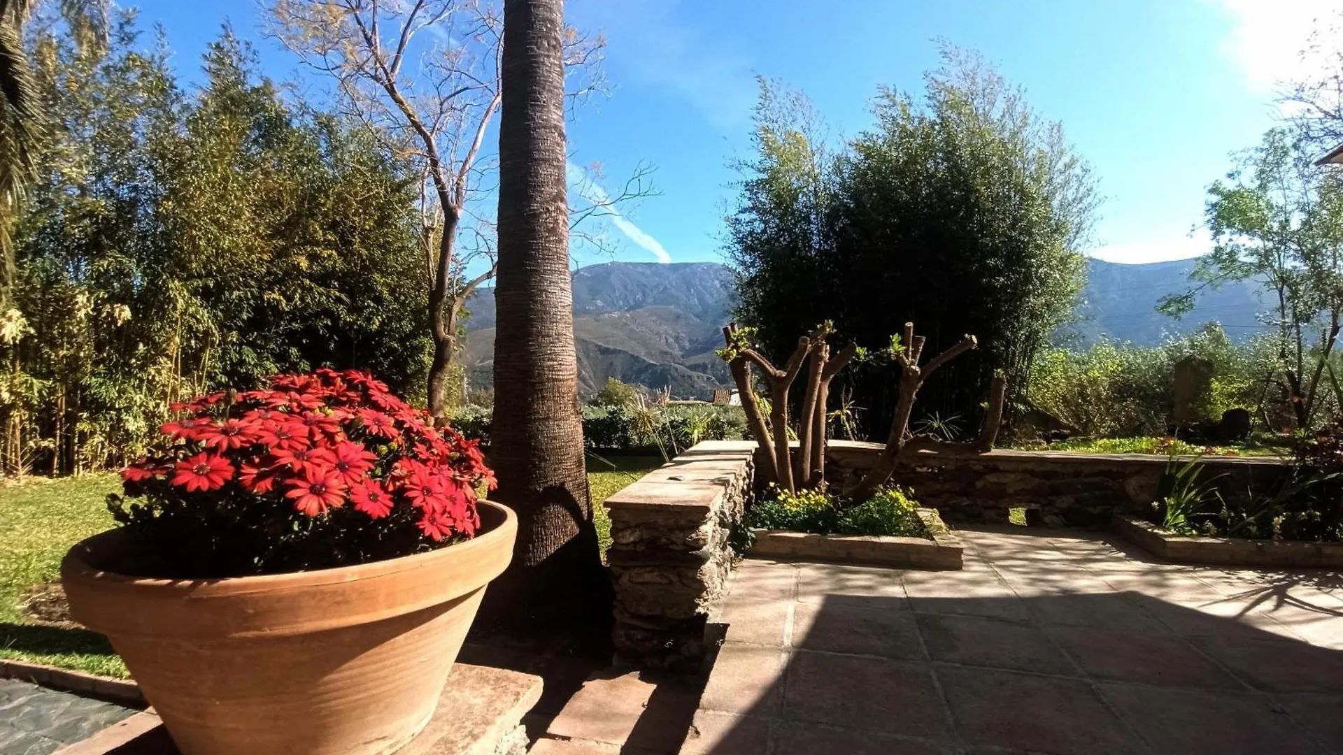 Oasis De Frescura En Verano Villa Granada Spain