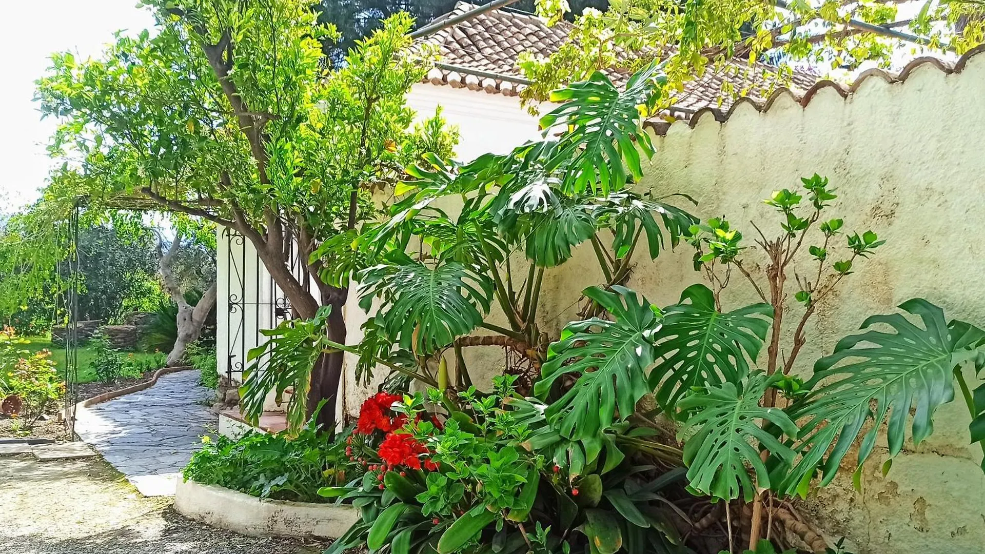 Oasis De Frescura En Verano Villa Granada 0*,